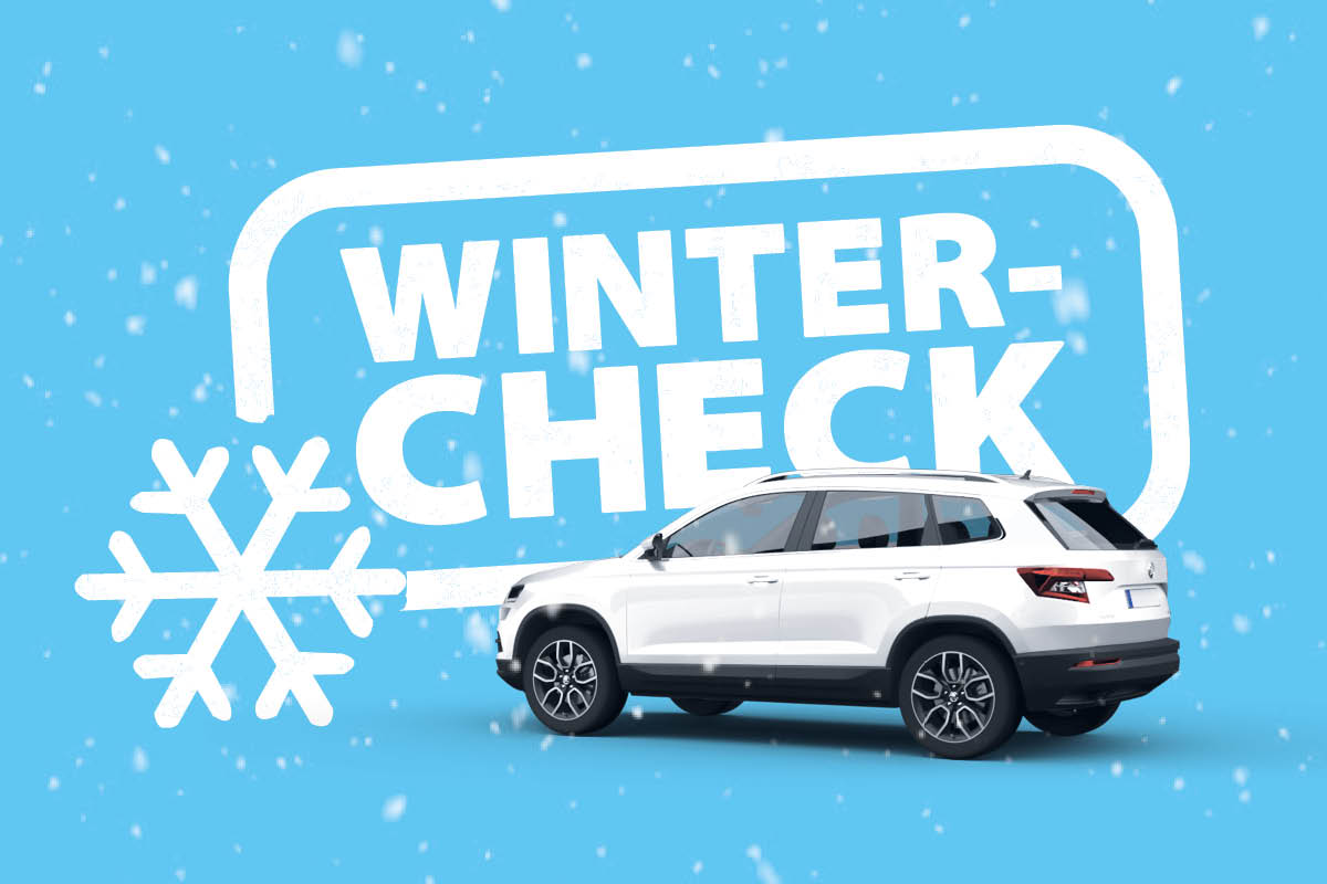 Wintercheck