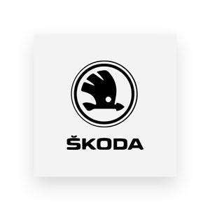 Skoda Werkstatt